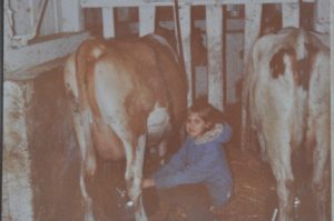 childhood photo of milking cows