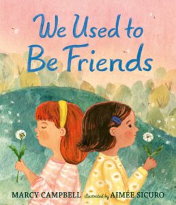 We Used to Be Friends book cover